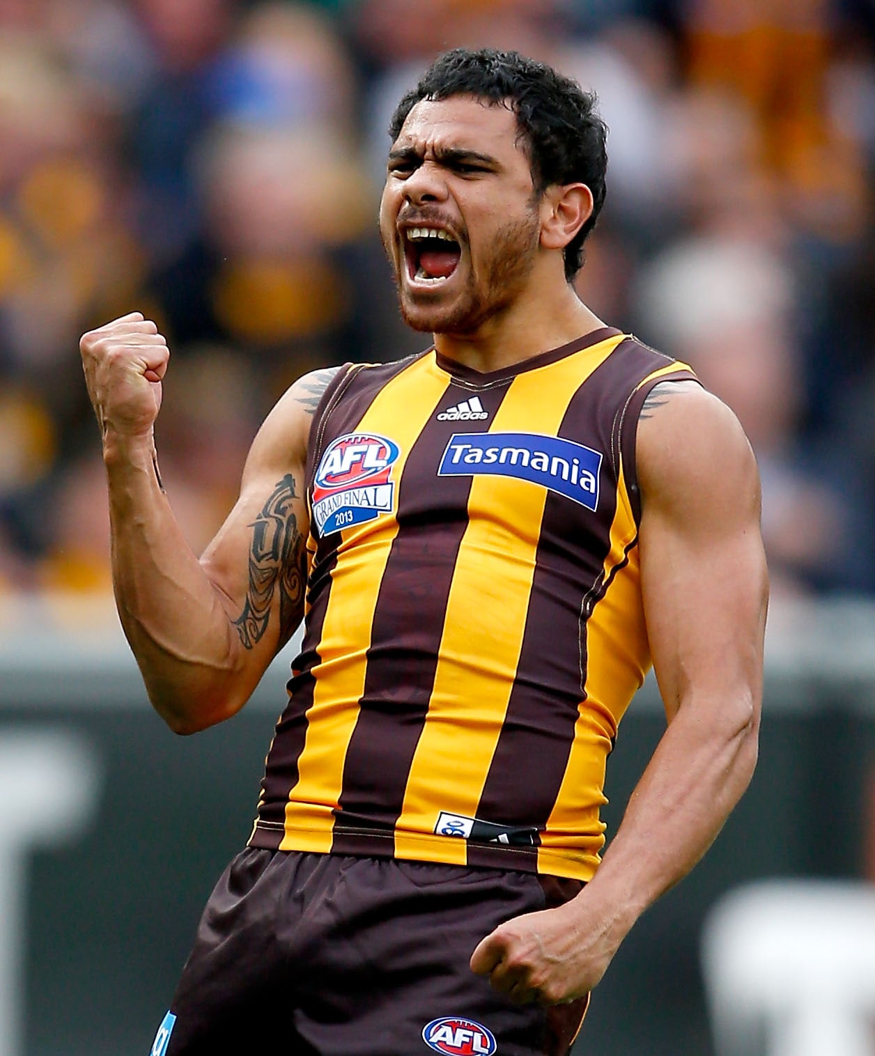 2013 Review: Cyril Rioli - hawthornfc.com.au